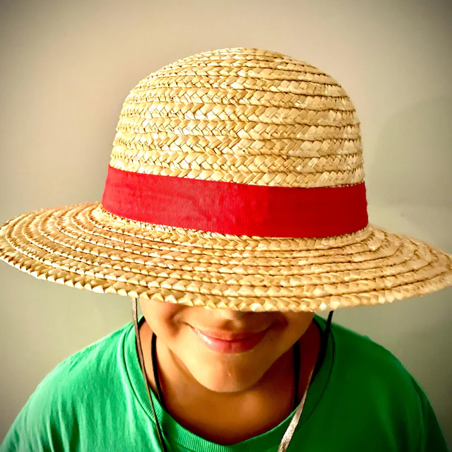 One Piece Luffy dezelfde stijl - One Piece Straw Hat recensie en prijs